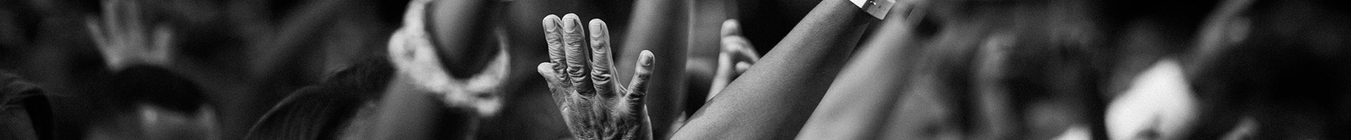 Cindy Holder Publication