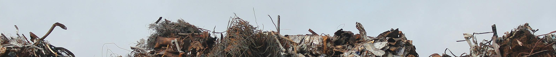 Cindy Holder publication