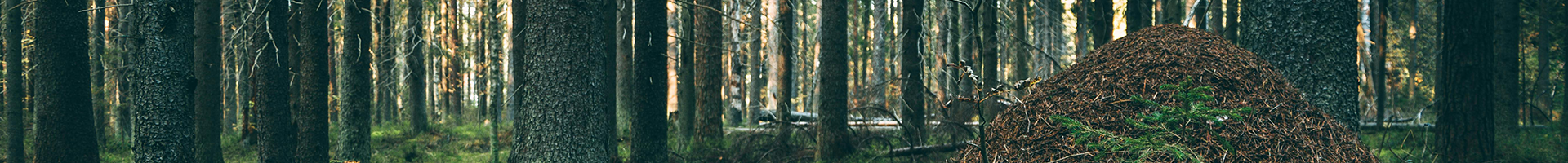 cindy holder publication justification routledge